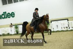 24BUCK_01988 thumbnail