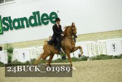 24BUCK_01989 thumbnail