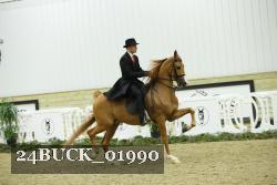 24BUCK_01990 thumbnail