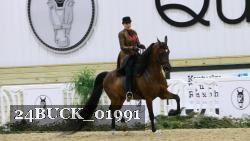 24BUCK_01991 thumbnail