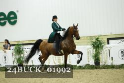 24BUCK_01992 thumbnail