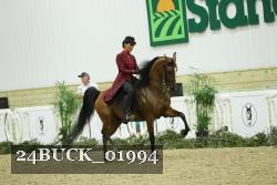 24BUCK_01994 thumbnail
