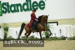 24BUCK_01995 thumbnail