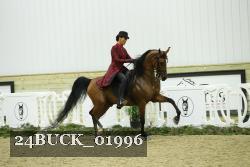 24BUCK_01996 thumbnail