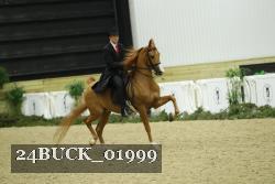 24BUCK_01999 thumbnail