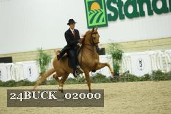 24BUCK_02000 thumbnail