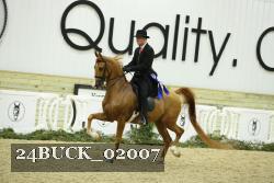 24BUCK_02007 thumbnail