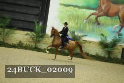 24BUCK_02009 thumbnail