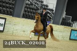 24BUCK_02010 thumbnail