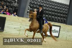 24BUCK_02011 thumbnail