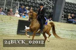 24BUCK_02012 thumbnail
