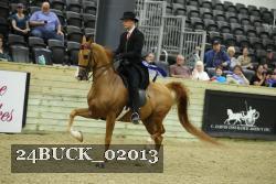 24BUCK_02013 thumbnail