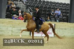 24BUCK_02014 thumbnail