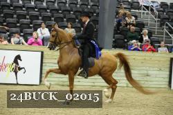 24BUCK_02015 thumbnail