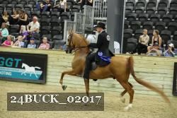 24BUCK_02017 thumbnail