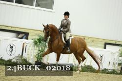 24BUCK_02018 thumbnail