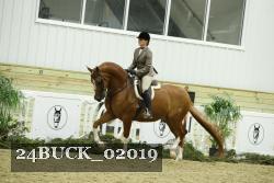 24BUCK_02019 thumbnail