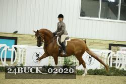24BUCK_02020 thumbnail