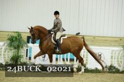 24BUCK_02021 thumbnail