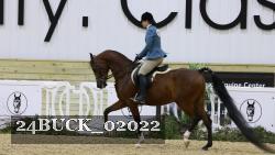 24BUCK_02022 thumbnail