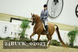 24BUCK_02023 thumbnail