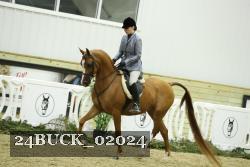 24BUCK_02024 thumbnail