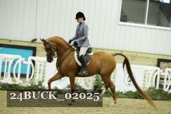 24BUCK_02025 thumbnail