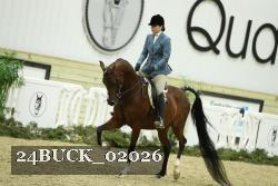 24BUCK_02026 thumbnail