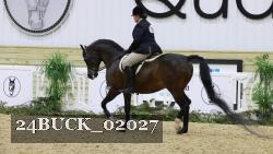 24BUCK_02027 thumbnail