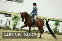 24BUCK_02028 thumbnail