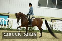 24BUCK_02029 thumbnail