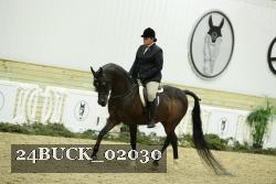 24BUCK_02030 thumbnail