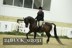 24BUCK_02031 thumbnail