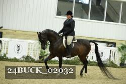 24BUCK_02032 thumbnail