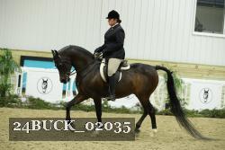 24BUCK_02035 thumbnail