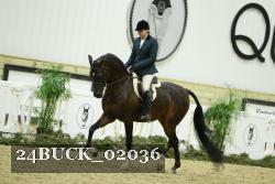 24BUCK_02036 thumbnail