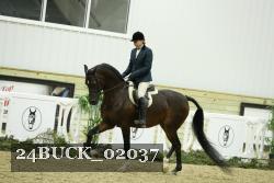 24BUCK_02037 thumbnail