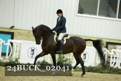 24BUCK_02041 thumbnail