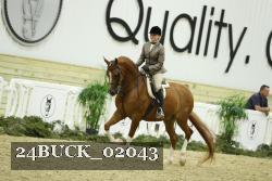 24BUCK_02043 thumbnail