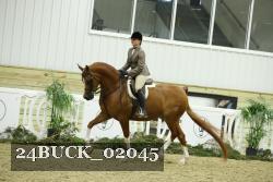 24BUCK_02045 thumbnail