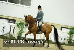 24BUCK_02046 thumbnail