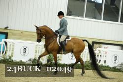 24BUCK_02049 thumbnail