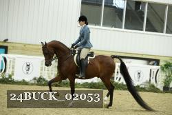 24BUCK_02053 thumbnail