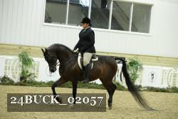 24BUCK_02057 thumbnail