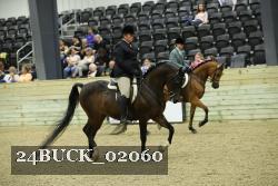 24BUCK_02060 thumbnail
