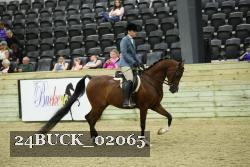 24BUCK_02065 thumbnail