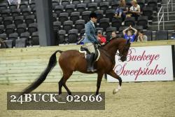 24BUCK_02066 thumbnail