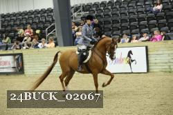 24BUCK_02067 thumbnail