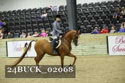 24BUCK_02068 thumbnail