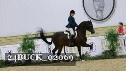 24BUCK_02069 thumbnail